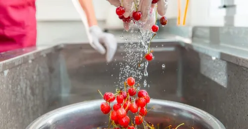 Protocolos IFS y brc en seguridad alimentaria