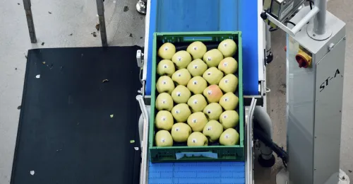 Envasado de productos alimentarios