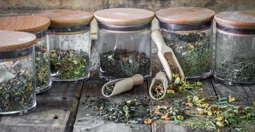 Plantas aromáticas y medicinales: principales técnicas de cultivo