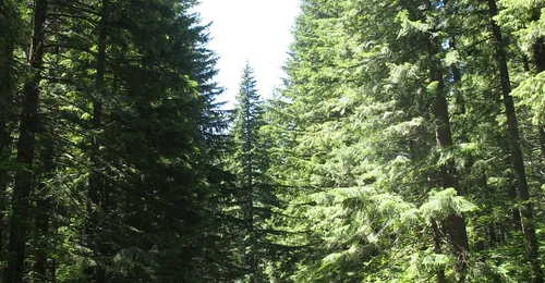 Desarrollo e implantación de sistemas de gestión ambiental en la empresa