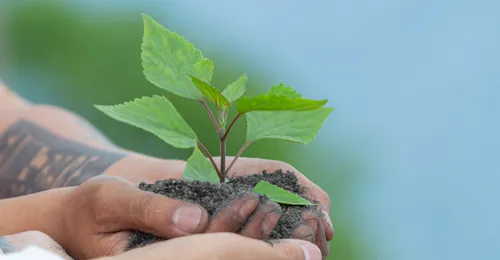 Cambio climático y medio amb.
