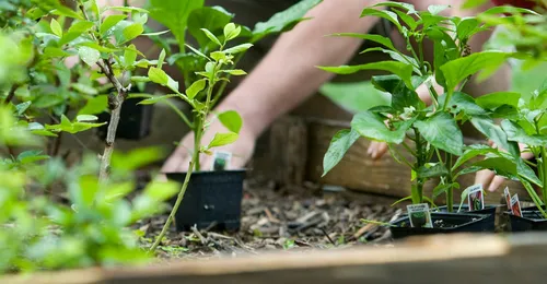 Normativa sobre responsabilidad medioambiental