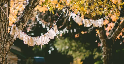 Colaboración a la organización de eventos y protocolo