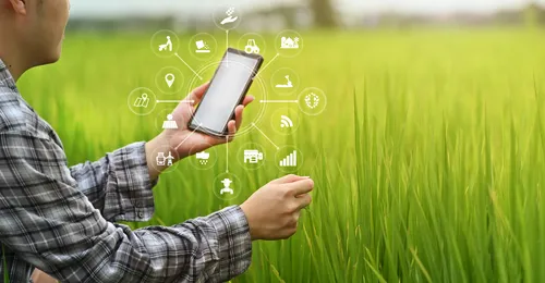 Monitorización agrícola e iot