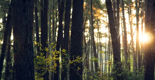 Certificación medioambiental de edificios