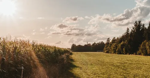 Gestión e incorporación a la empresa agraria