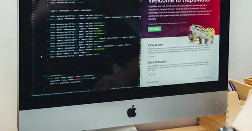 Programación páginas web javascript y asp.net 3.5