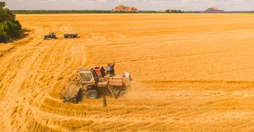 Mantenimiento industrial en el sector agrario