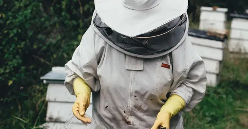 Defensa contra plagas y enfermedades en agricultura ecológica