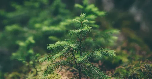 Norma ISO 14001 y su implantación en la empresa