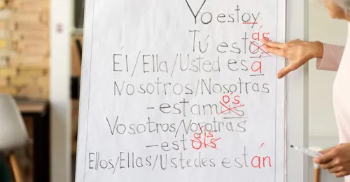 Competencia Clave: Comunicación en lengua castellana - N2