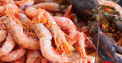 Manipulación de alimentos de alto riesgo