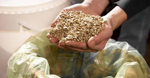 Producción de piensos.