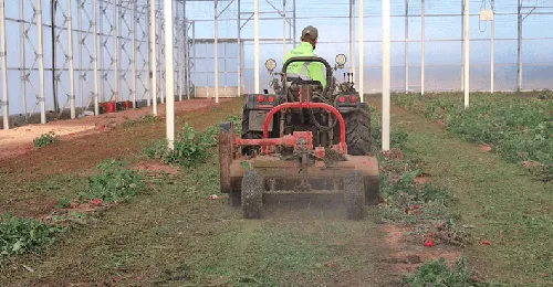 Tratamiento sostenible de residuos agrarios