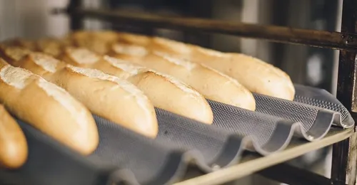 Masas congeladas y pan precocido