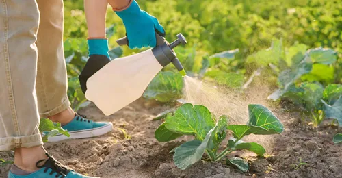 Control de plagas y enfermedades en agricultura ecológica