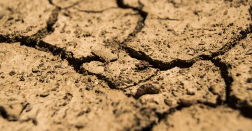 Contaminación de suelos