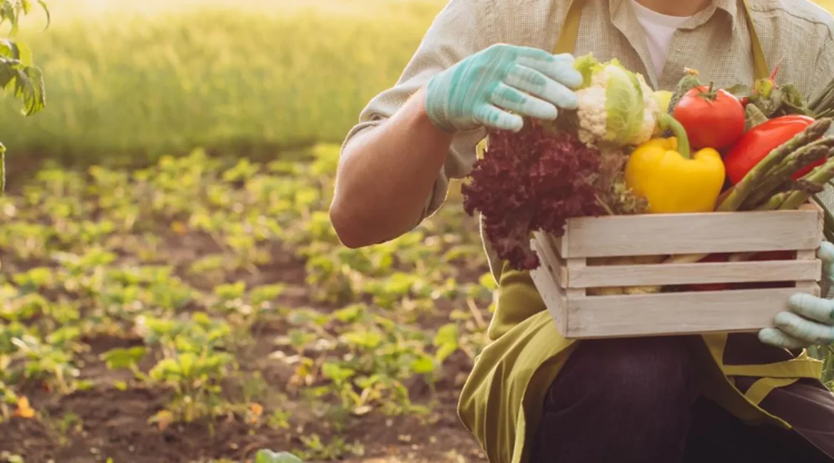 Materias primas en la industria de la alimentación
