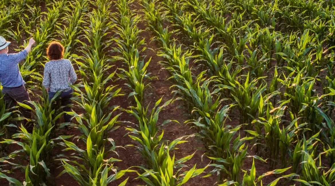 Modificaciones legislativas de referencia en el sector agrario