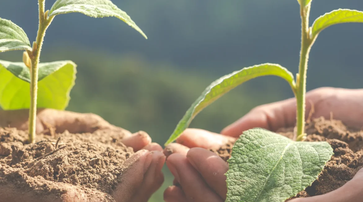 Gestión ambiental