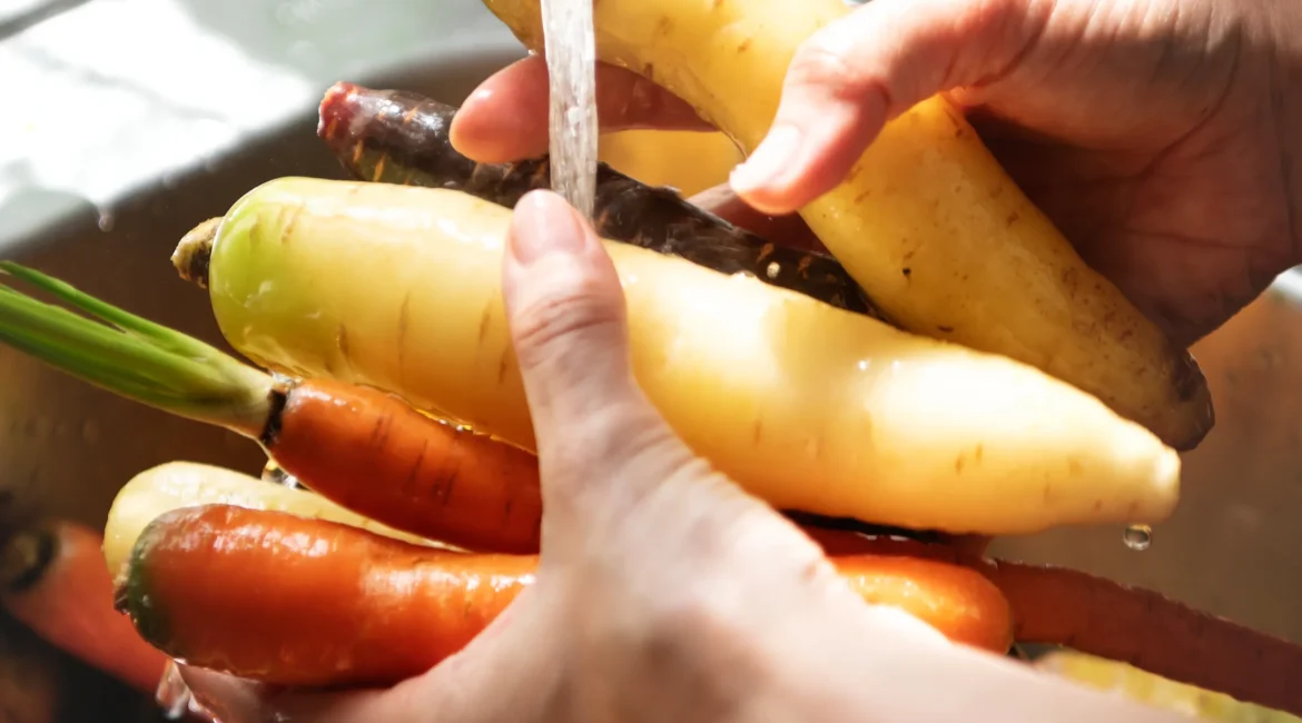 Manipulador de alimentos y seguridad alimentaria