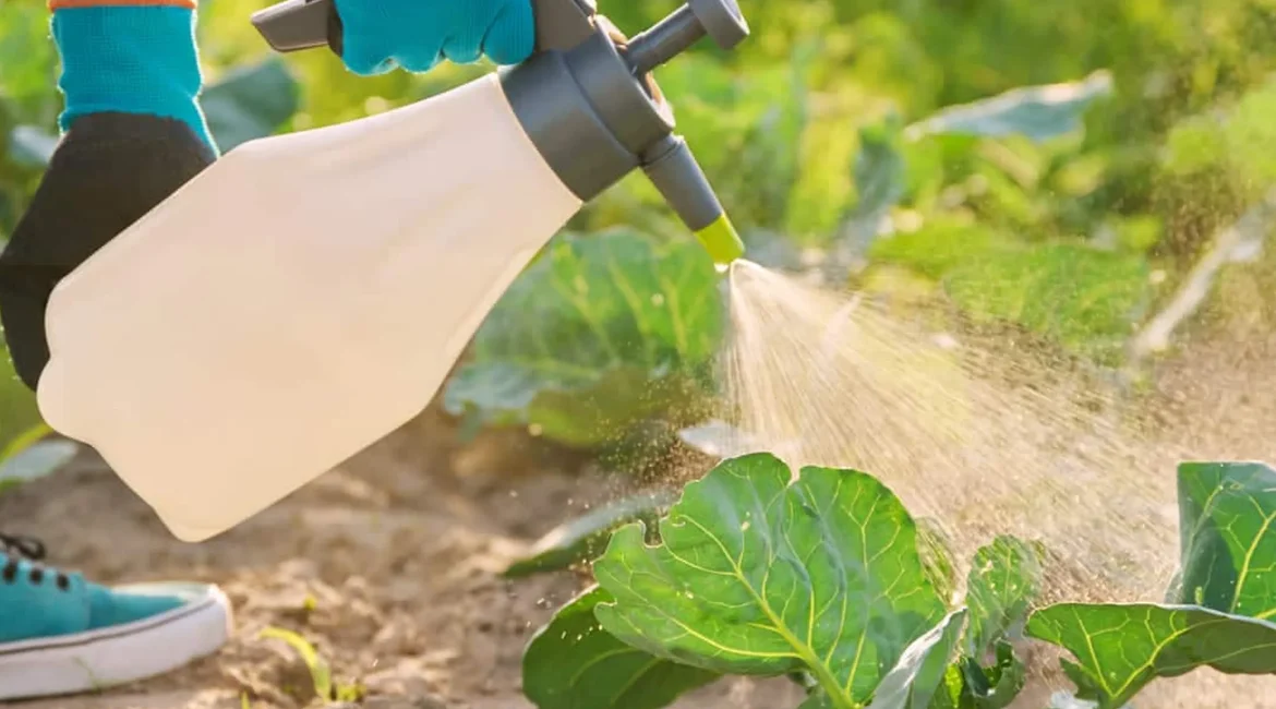 Control de plagas y enfermedades en agricultura ecológica